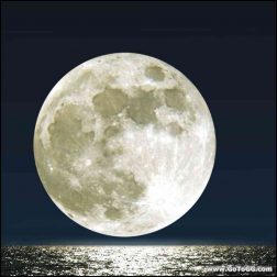Join Genevieve Gerard for a Full Moon Meditation Every Month