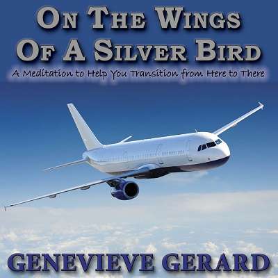 On The Wings Of A Silver Bird Meditation On The Wings Of A Silver Bird Meditation by Genevieve Gerard