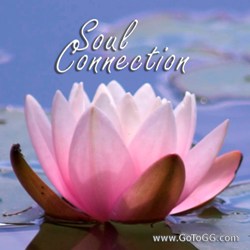Genevieve Gerard - The Soul Connection Genevieve Gerard The Soul Connection Article image
